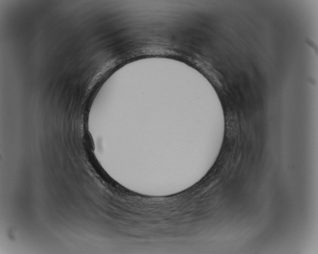 X0000097750015200804041113