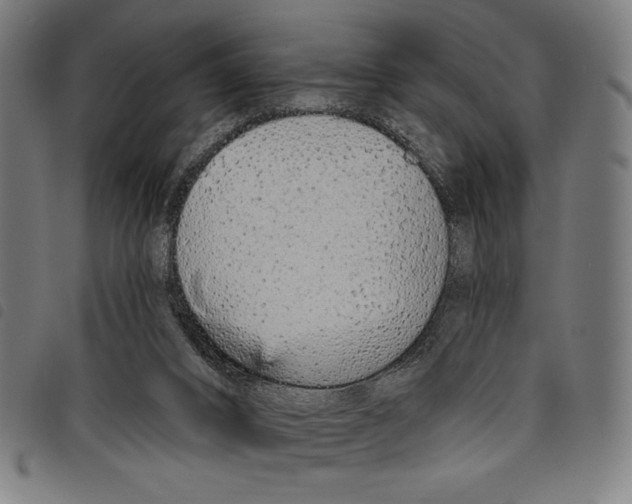 X0000097750016200804041113