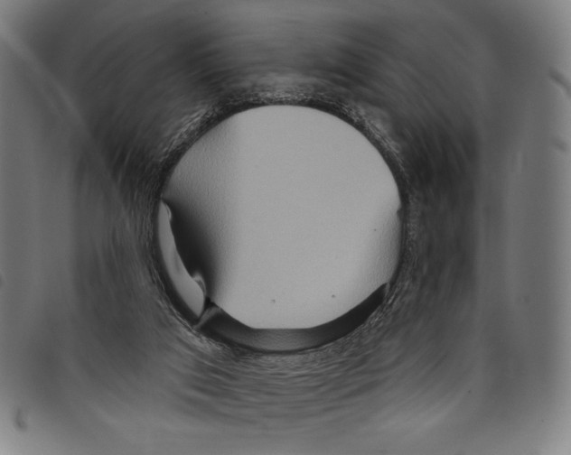 X0000097750017200804041113