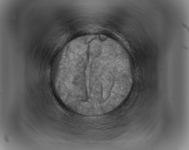 X0000097750018200804041113