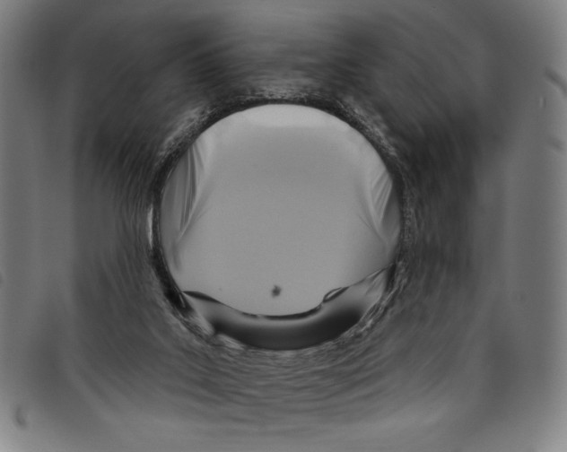 X0000097750019200804041113