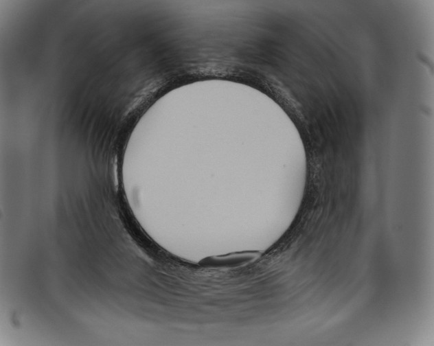 X0000097750020200804041113