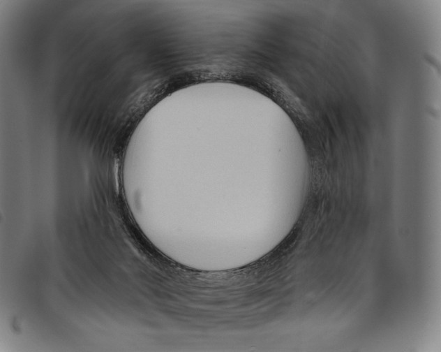 X0000097750022200804041113