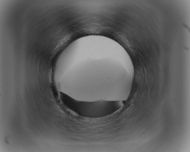 X0000097750023200804041113