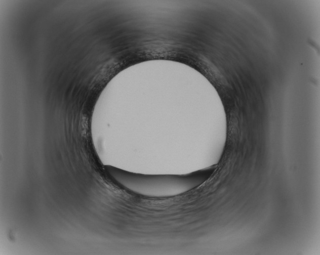 X0000097750025200804041113