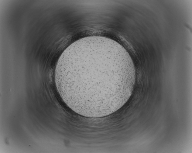 X0000097750026200804041113