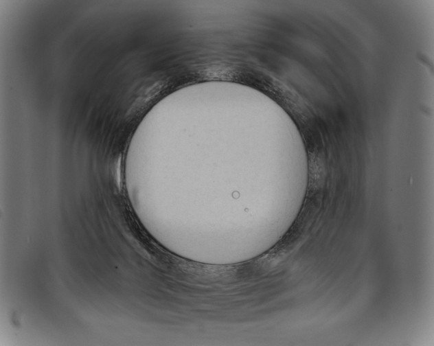 X0000097750028200804041113