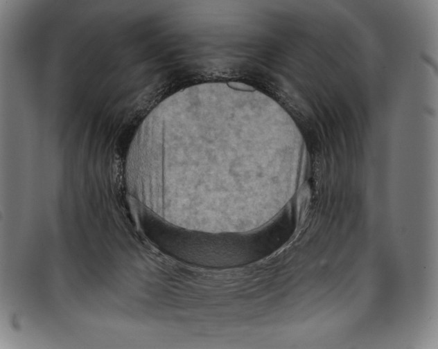 X0000097750029200804041113