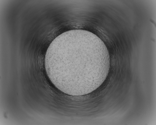 X0000097750030200804041113