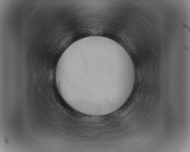 X0000097750032200804041113