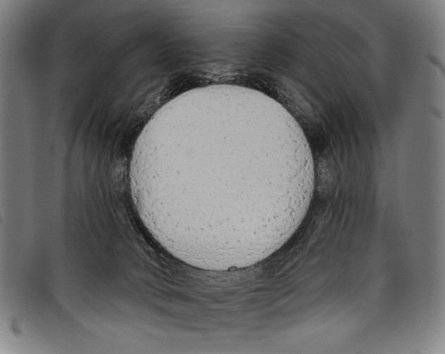 X0000097750034200804041113