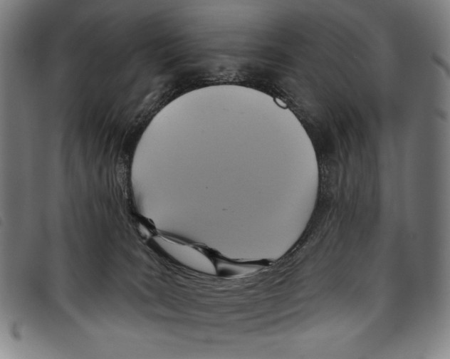 X0000097750035200804041113