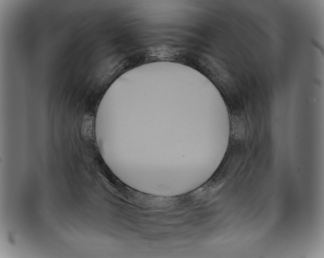 X0000097750036200804041113