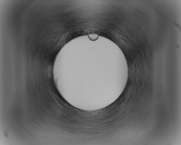 X0000097750038200804041113