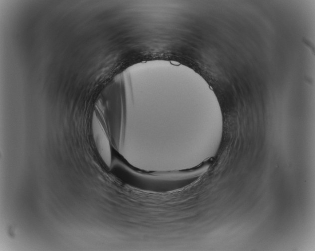 X0000097750039200804041113