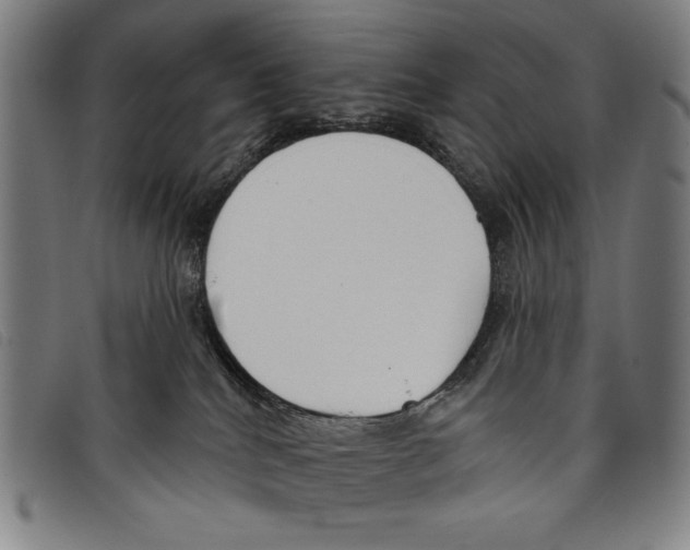 X0000097750040200804041113