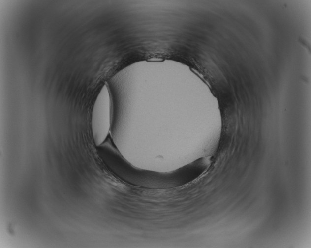 X0000097750041200804041113