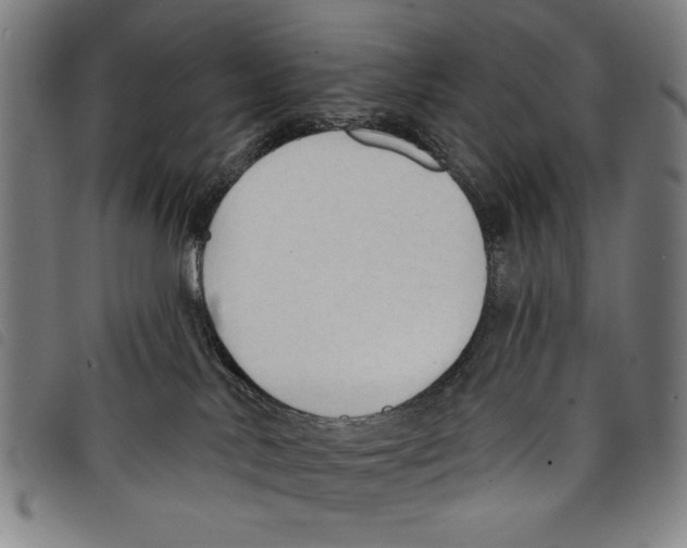 X0000097750042200804041113