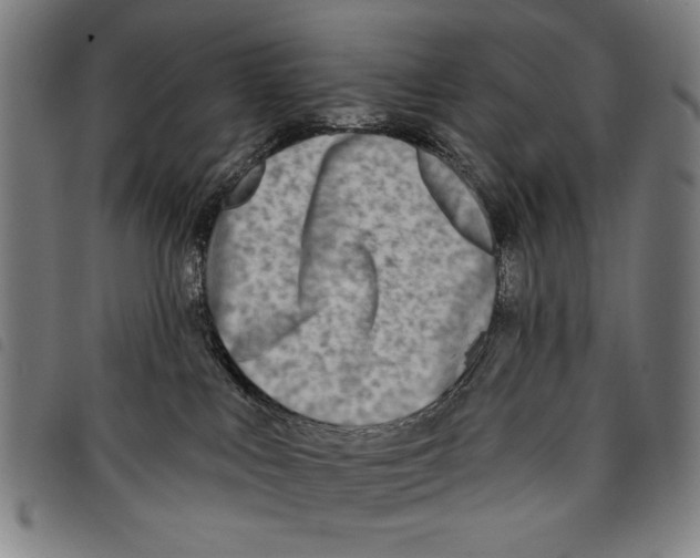 X0000097750043200804041113