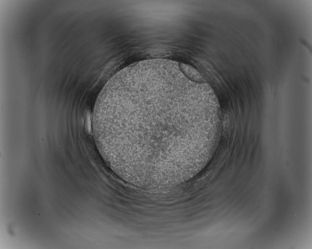 X0000097750046200804041113