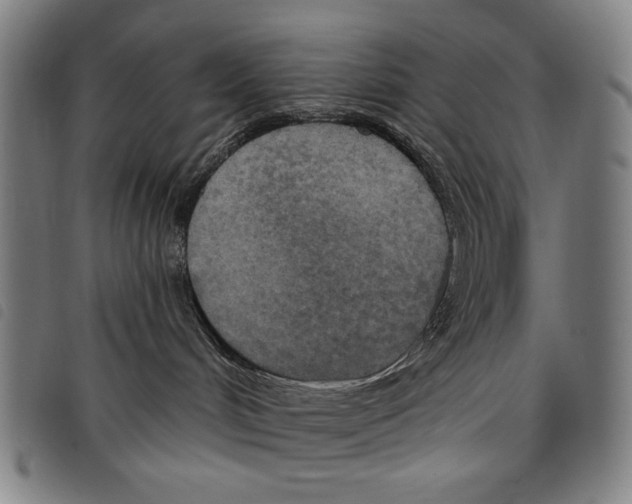 X0000097750048200804041113