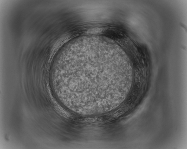 X0000097750049200804041112