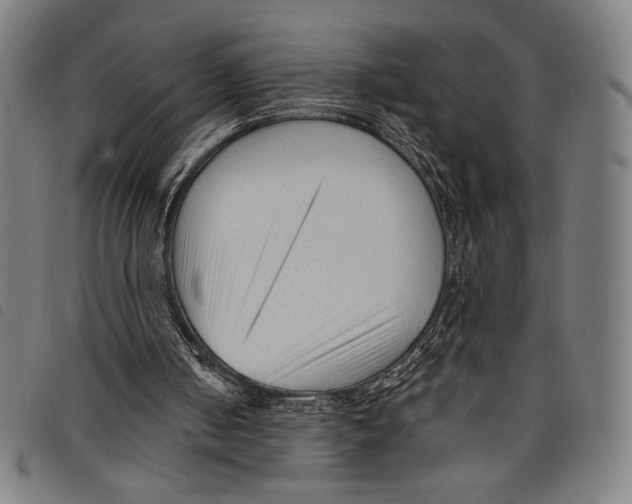 X0000097750050200804041112