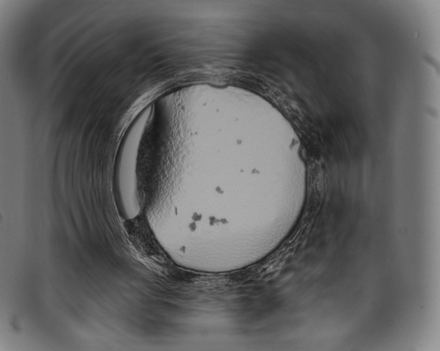 X0000097750051200804041112