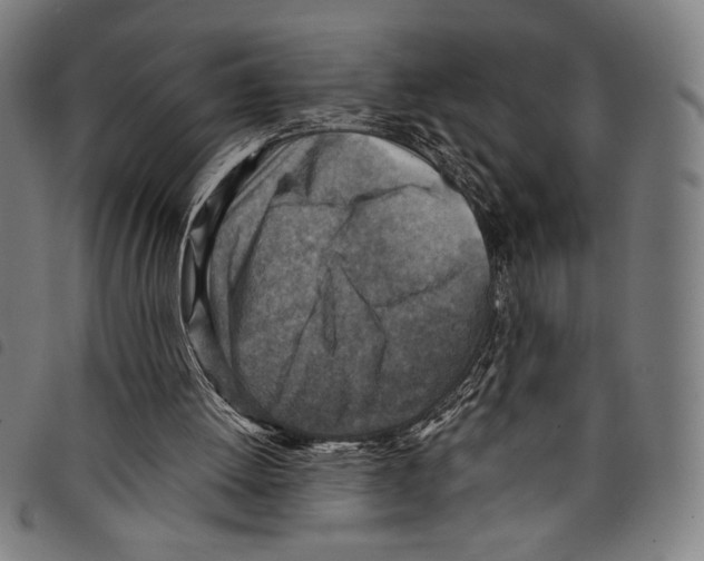 X0000097750052200804041112