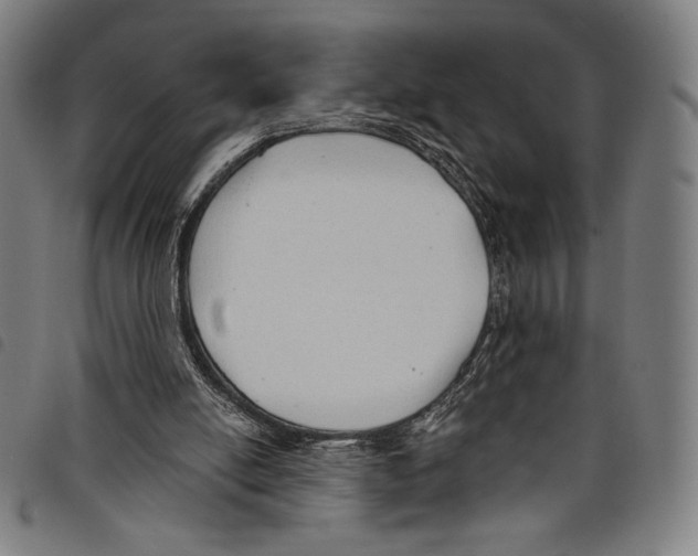 X0000097750054200804041112