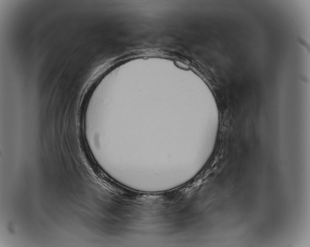 X0000097750055200804041112