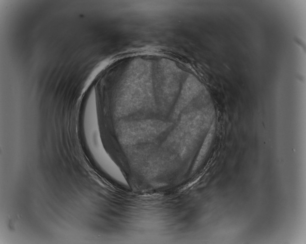 X0000097750056200804041112