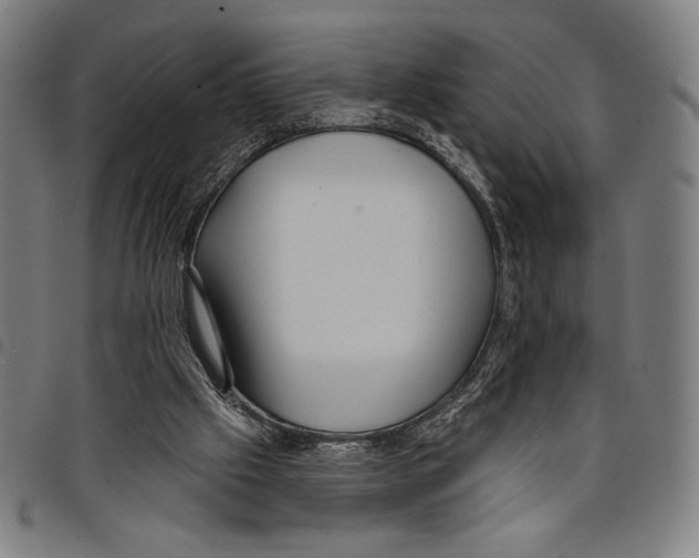 X0000097750057200804041112