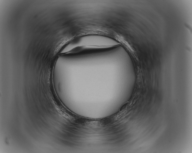 X0000097750058200804041112