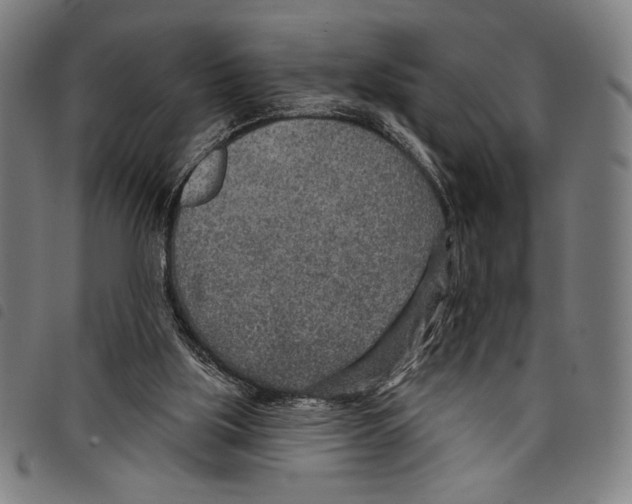 X0000097750059200804041112