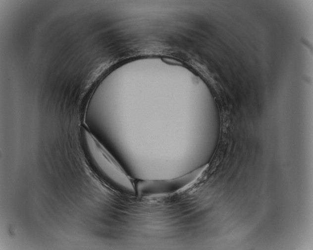 X0000097750060200804041112