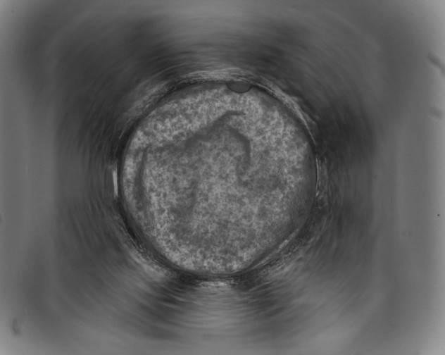 X0000097750061200804041112