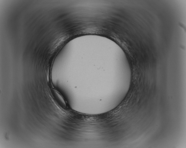 X0000097750062200804041112