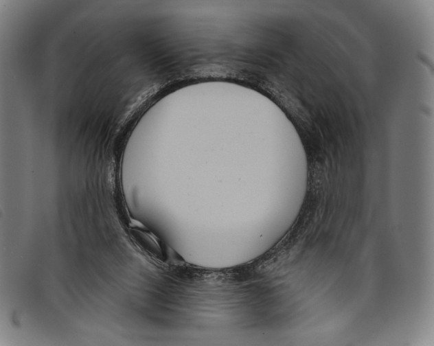 X0000097750064200804041112