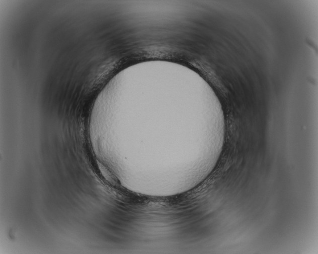 X0000097750066200804041112