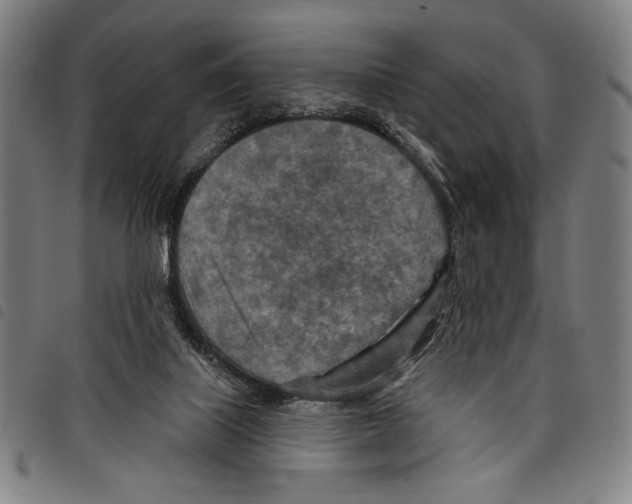 X0000097750067200804041112