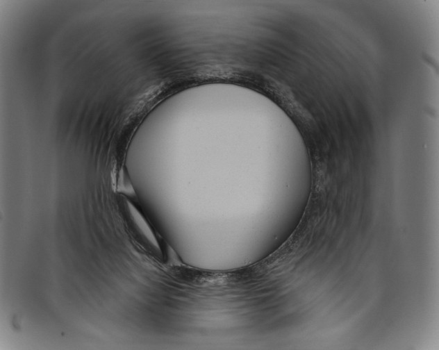 X0000097750068200804041112