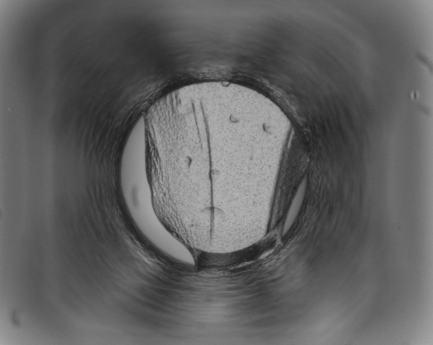 X0000097750069200804041112