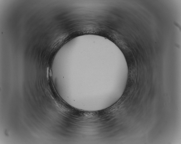 X0000097750070200804041112