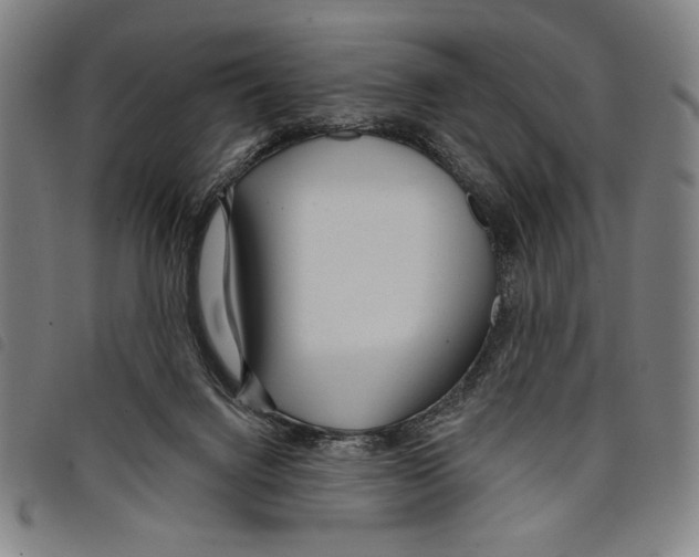 X0000097750072200804041112