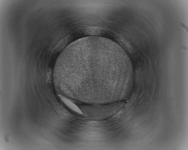 X0000097750073200804041112