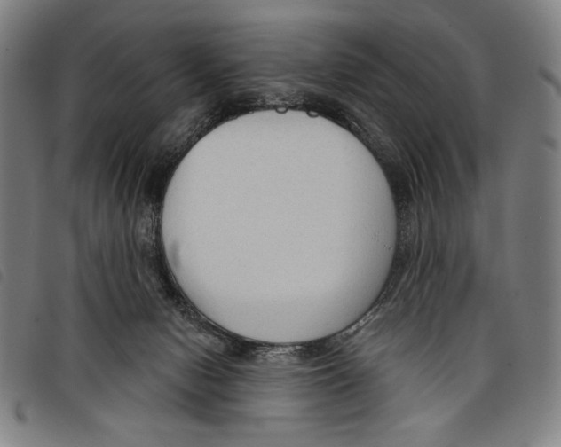 X0000097750078200804041113