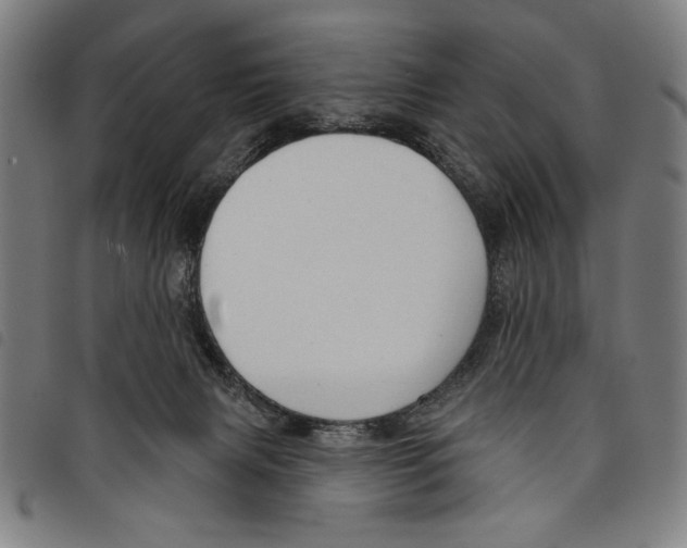 X0000097750079200804041113