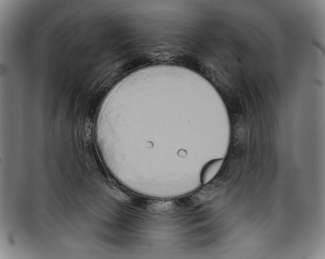 X0000097750081200804041113