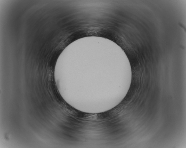 X0000097750083200804041113